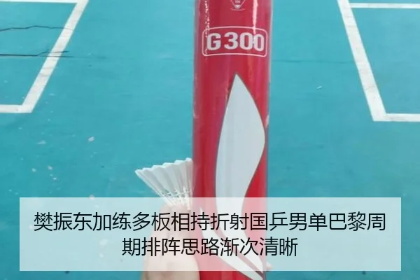 樊振东加练多板相持折射国乒男单巴黎周期排阵思路渐次清晰